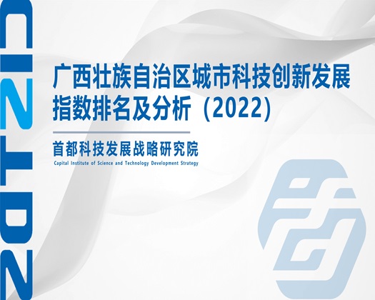 被艹黄色小网站【成果发布】广西壮族自治区城市科技创新发展指数排名及分析（2022）